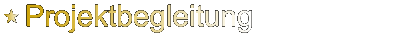 Projektbegleitung