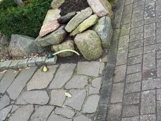 20160321_120612