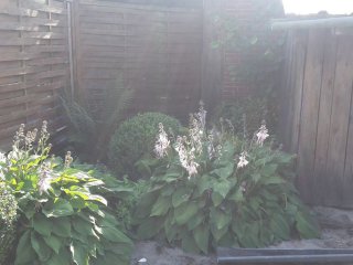 20160626_174950