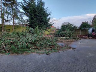 20230111_161503
