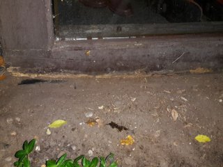 20161031_071558