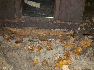20161031_071610