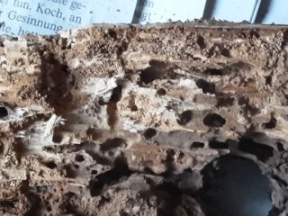 20161101_083105