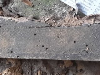 20161101_083120