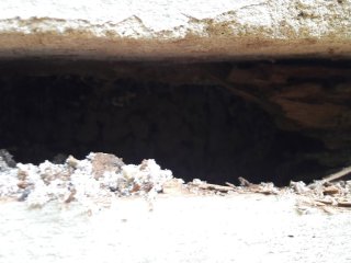 20180619_100458