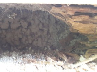 20180619_100504