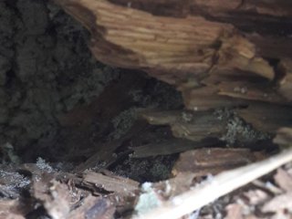 20180619_100510